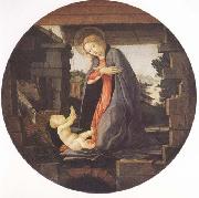 Sandro Botticelli Madonna in Adoration of the Christ Child oil on canvas